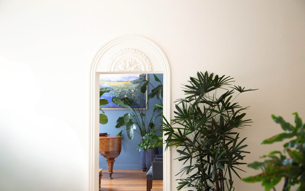 Laser + Holistic Dental